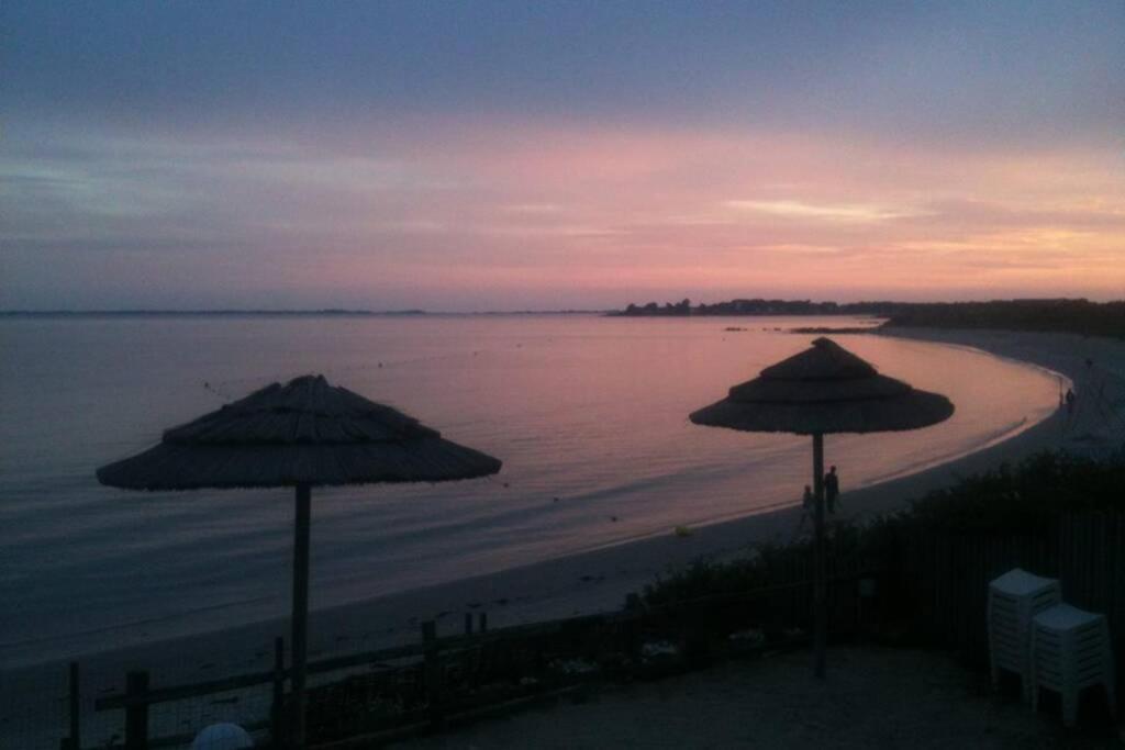 Maison Avec Jardin Clos. Animaux Acceptes - Wifi - Proche Plages De La Trinite Sur Mer Et Carnac Ngoại thất bức ảnh