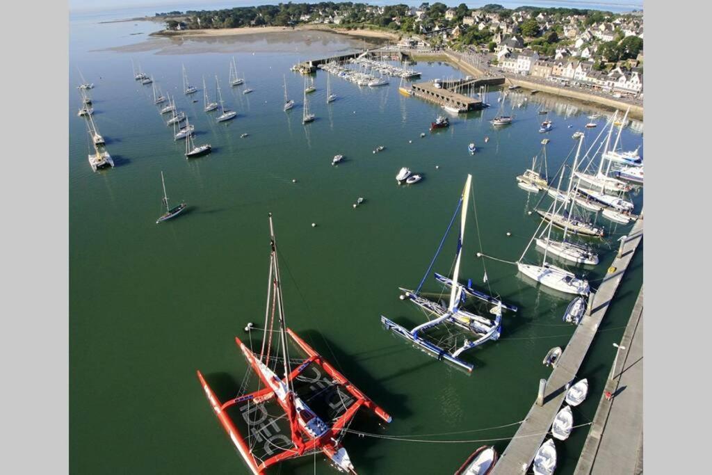 Maison Avec Jardin Clos. Animaux Acceptes - Wifi - Proche Plages De La Trinite Sur Mer Et Carnac Ngoại thất bức ảnh