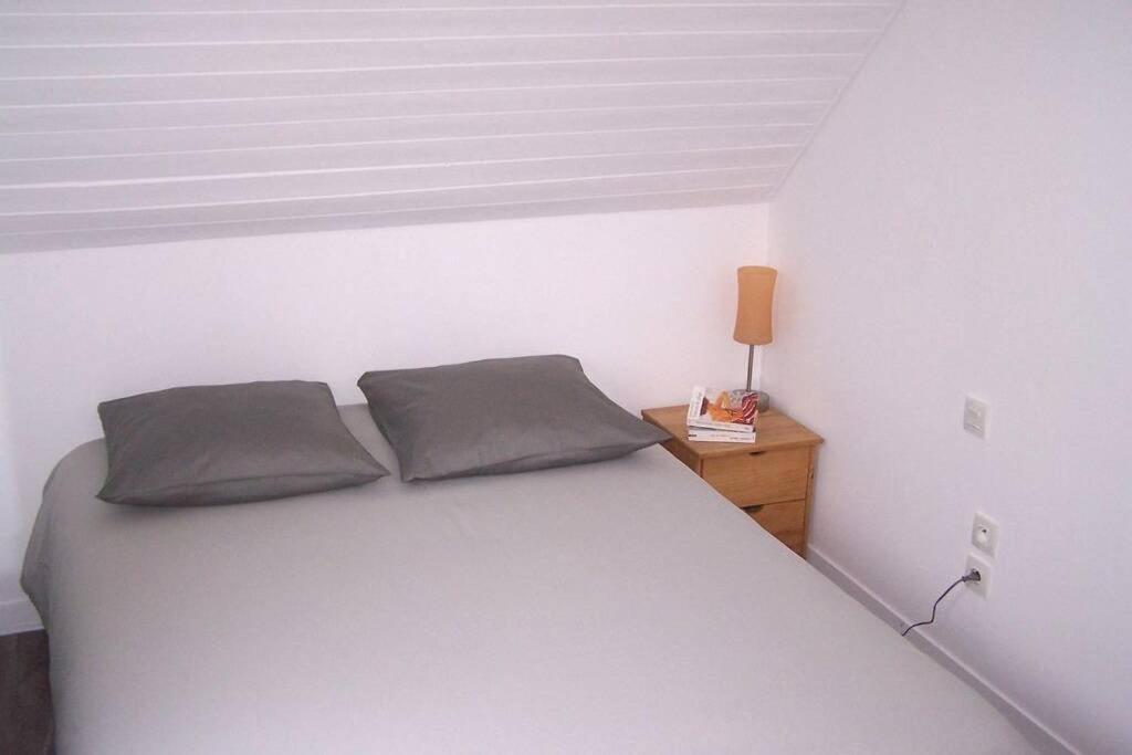 Maison Avec Jardin Clos. Animaux Acceptes - Wifi - Proche Plages De La Trinite Sur Mer Et Carnac Ngoại thất bức ảnh